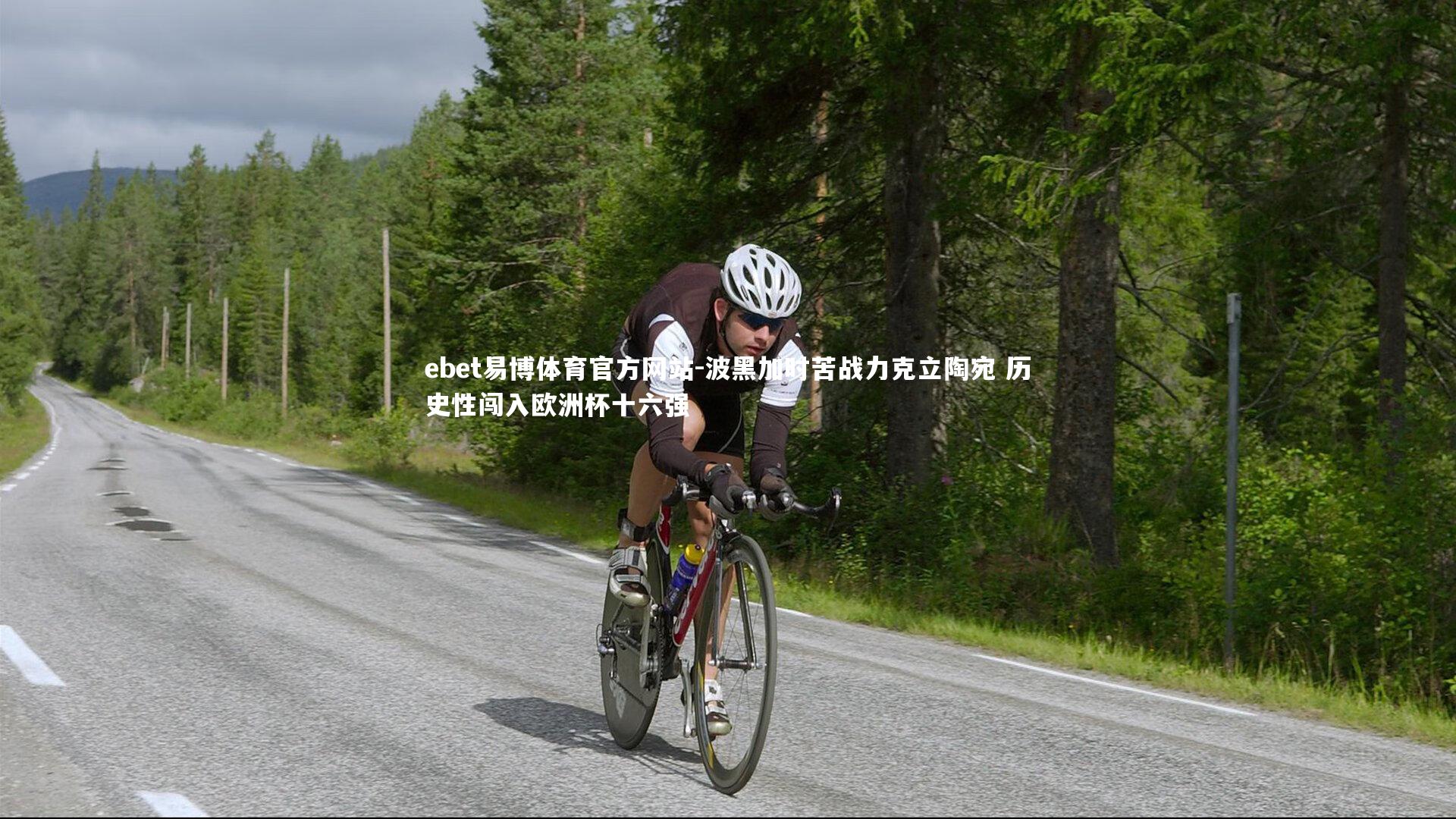 波黑加时苦战力克立陶宛 历史性闯入欧洲杯十六强