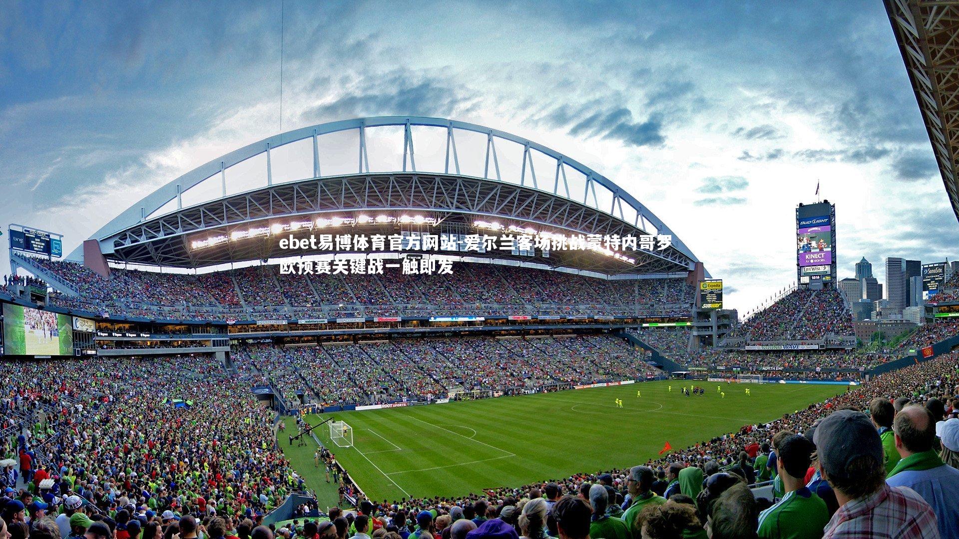 爱尔兰客场挑战蒙特内哥罗 欧预赛关键战一触即发